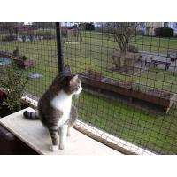 4 CM GÖZENEK 2.5 MM KALINLIK KEDİ KORUMA FİLESİ - BALKON AĞI - KEDİ FİLESİ
